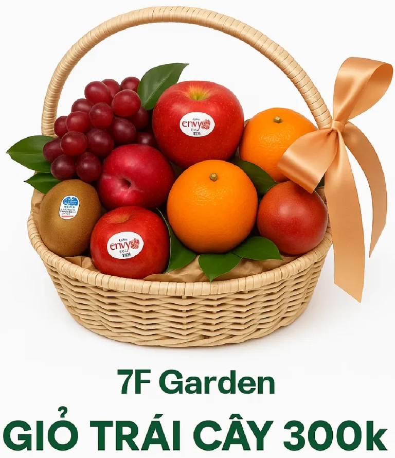 Giỏ trái cây 300k hcm